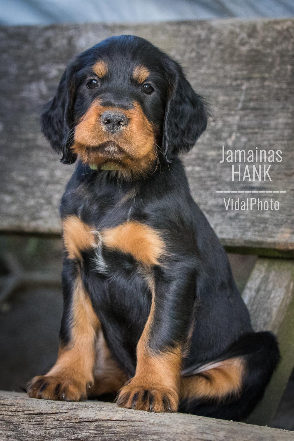 jamainas-5686-Bearbeitet