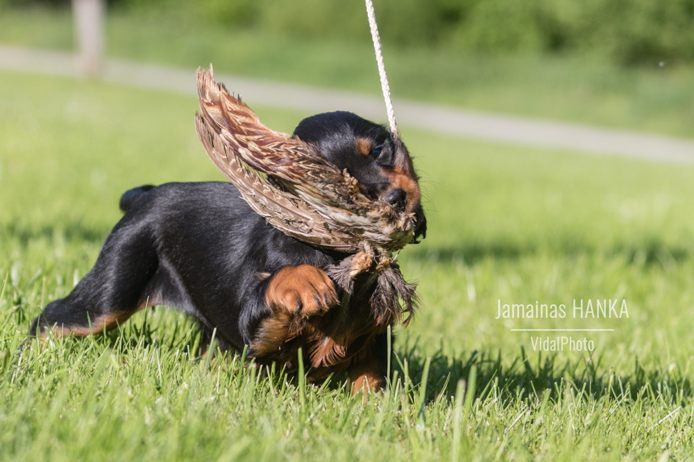 jamainas-5768-Bearbeitet-2