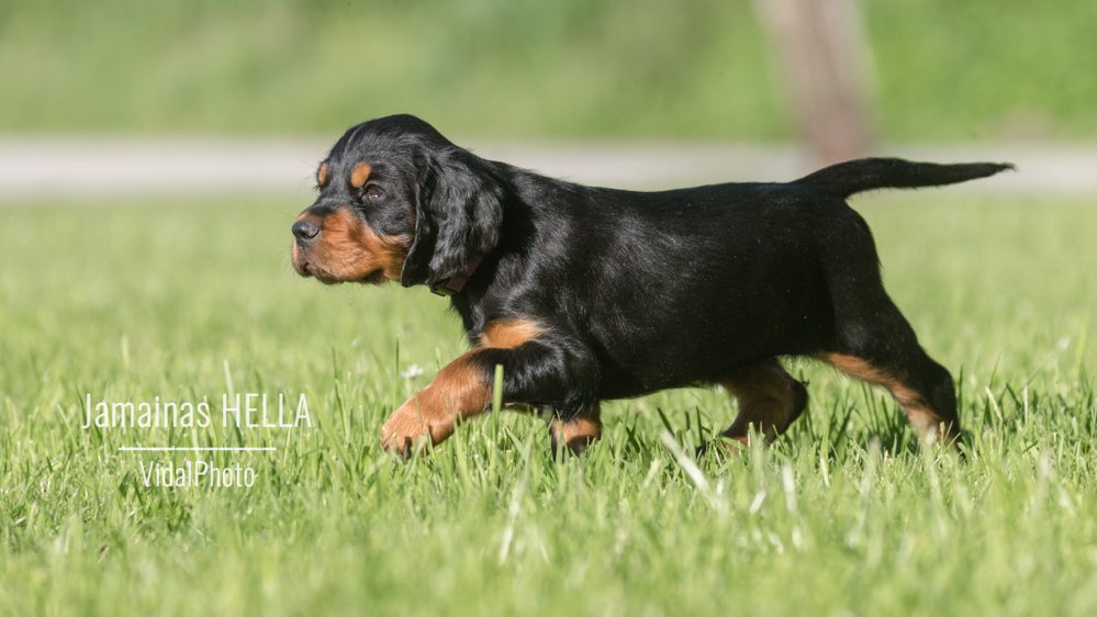 jamainas-5831-Bearbeitet-3