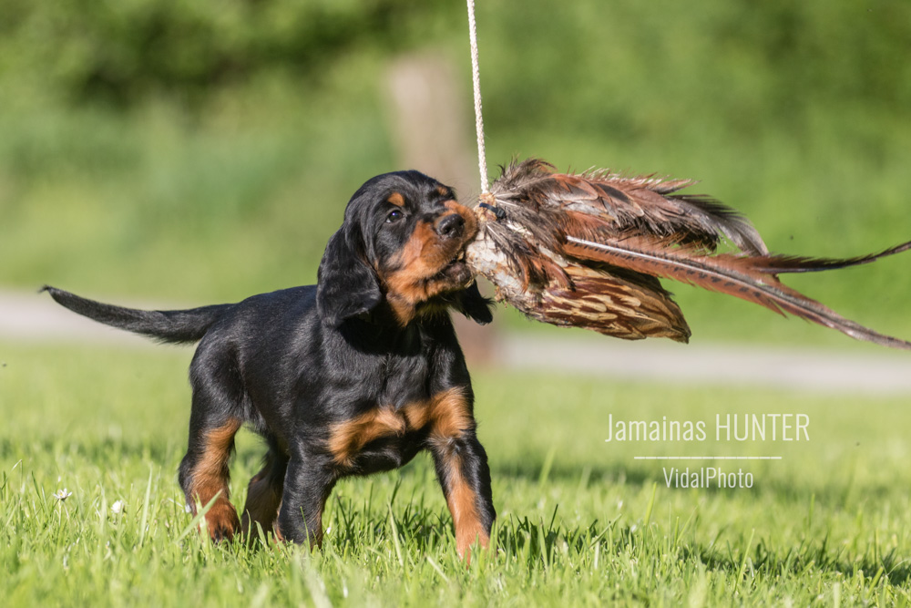 jamainas-5924-Bearbeitet