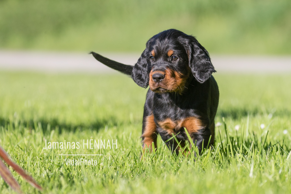 jamainas-5932-Bearbeitet