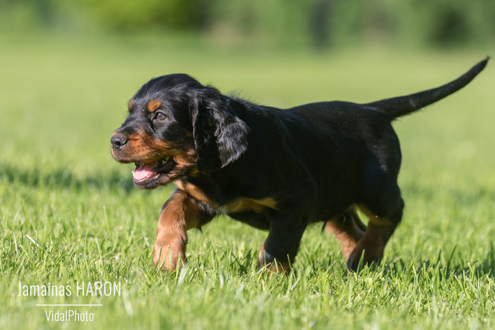 jamainas-6021-Bearbeitet