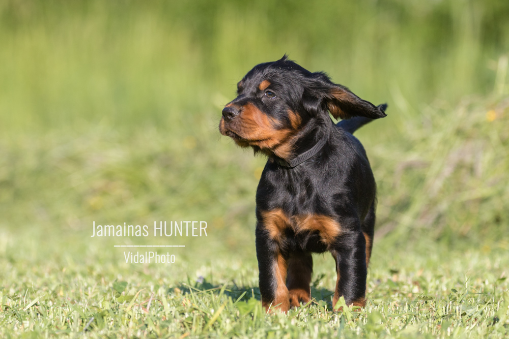 jamainas-6298-Bearbeitet