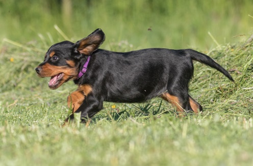 jamainas-6313 bearbeitet